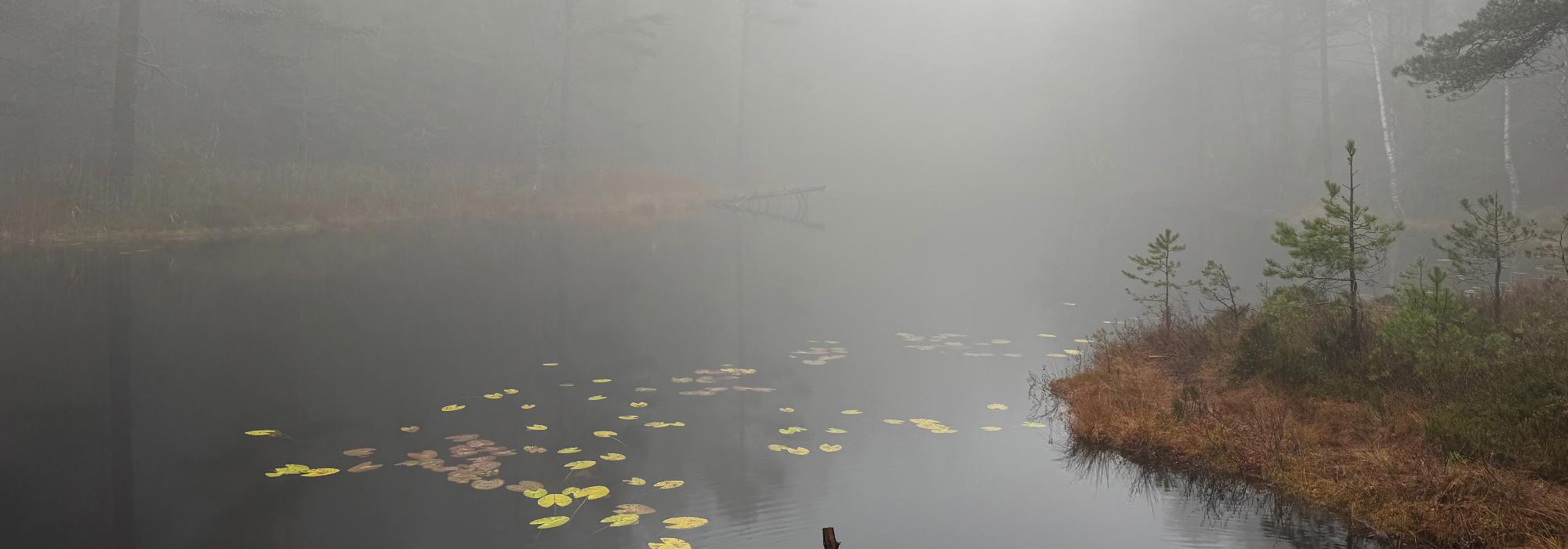 Bli med på tur med nærturgruppa på Sognsvann til Øvre Blanksjø/Høgåsen!