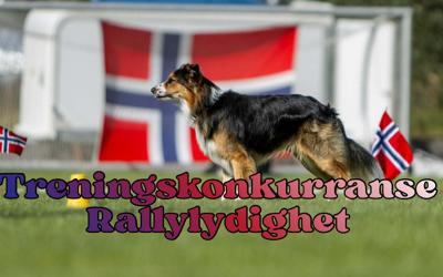 Rally treningskonkurranse 16. august