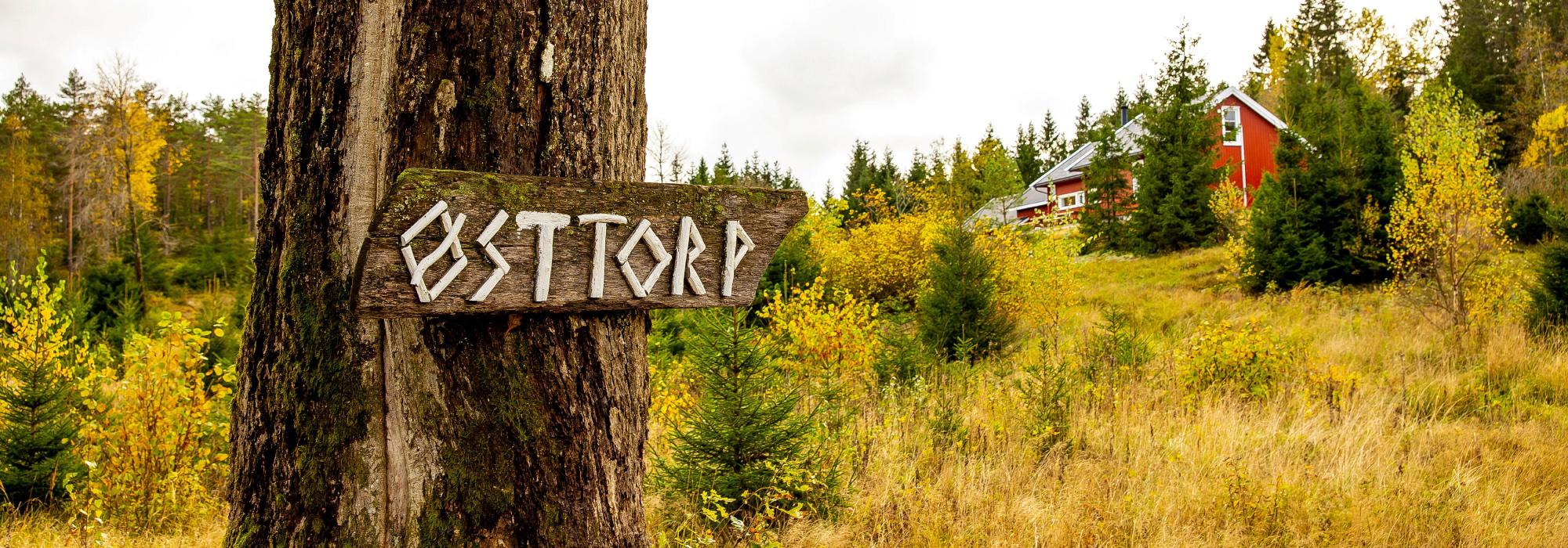 Tur ved Knatterødmosen