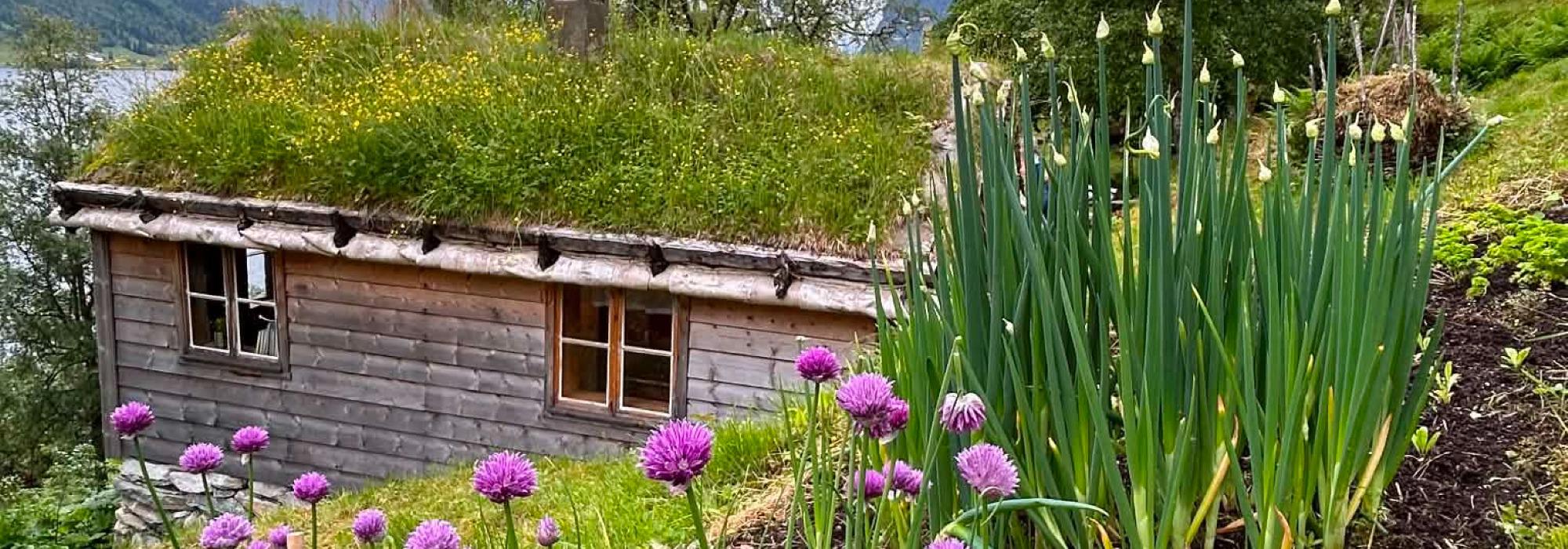 Natur og kultur - hagevandring i Astruptunet