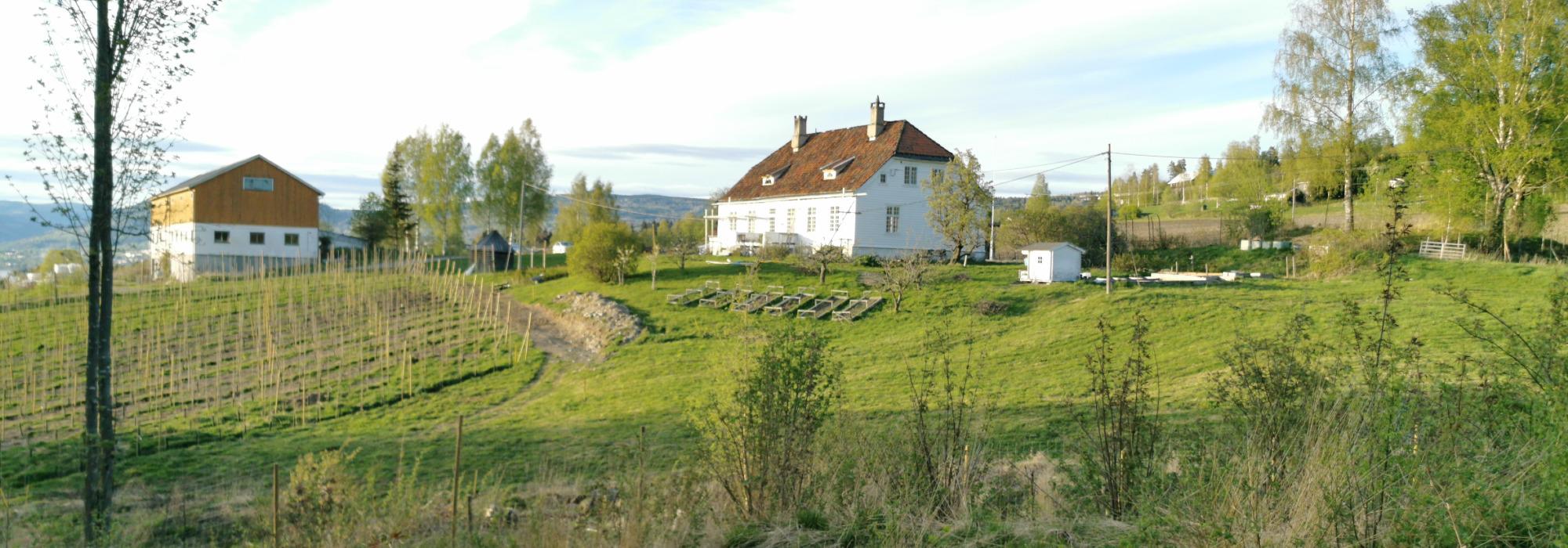 Formiddagstur Lillehammer - Tur fra Søre Ål over Dallerud og langs Mjøskanten