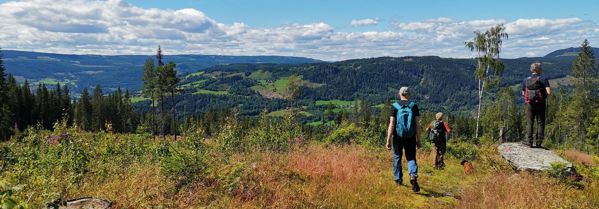 Formiddagstur Lillehammer - Tur i nordre del av Balbergslia