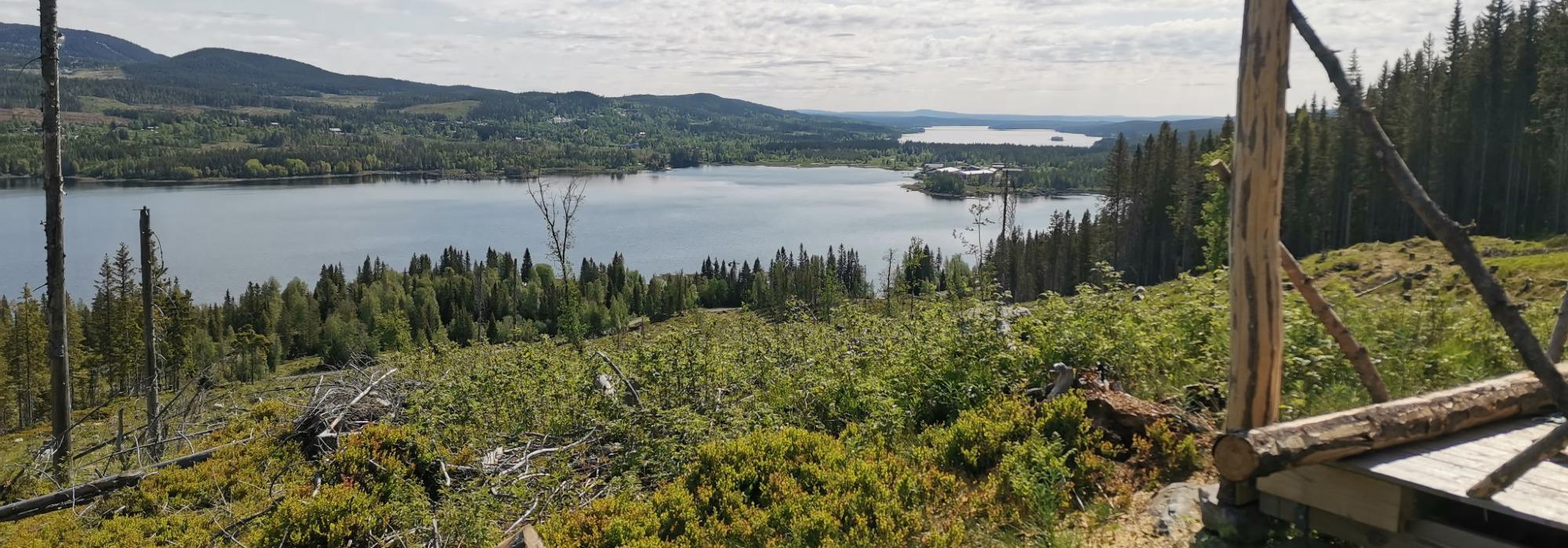 Formiddagstur Lillehammer - Tur til Botshaugkampen