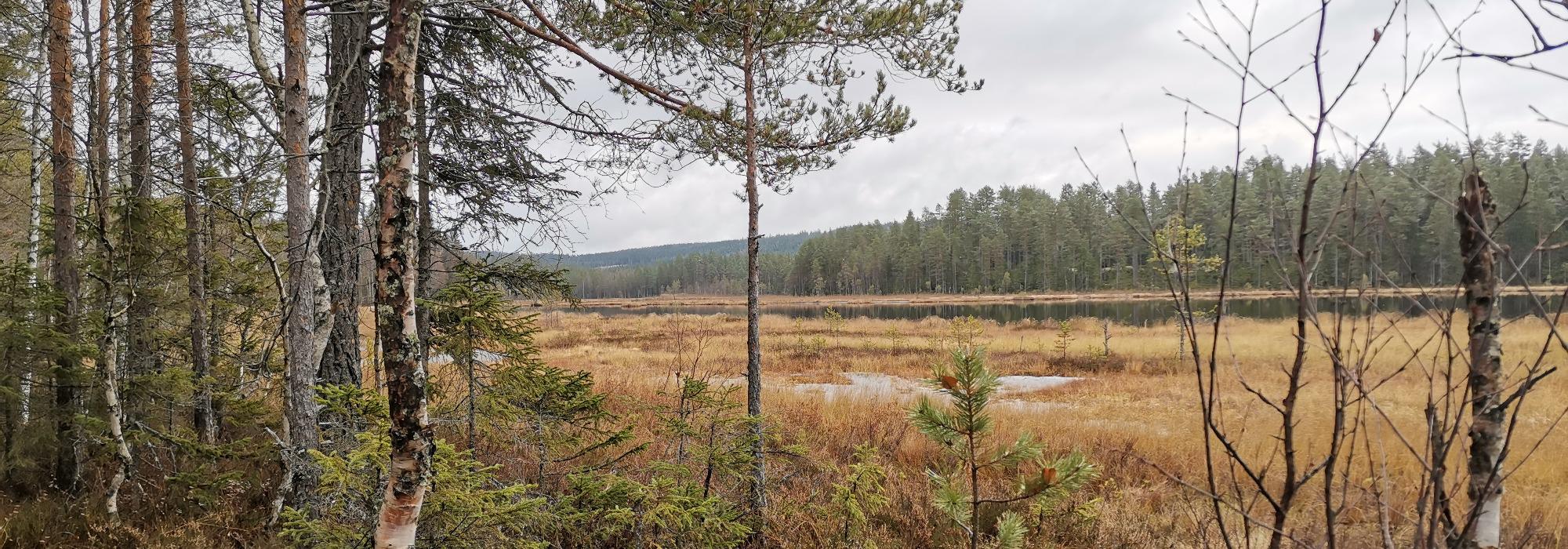 Formiddagstur Lillehammer - Tur til Kroktjernet