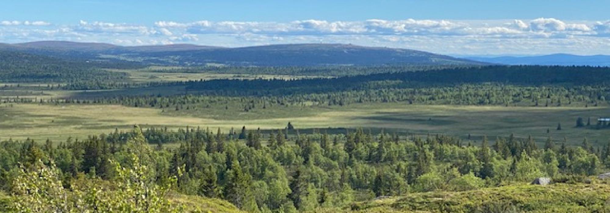 Formiddagstur Øyer - Vedemslia - Svartberget.