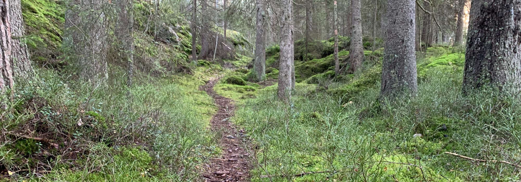 Søndagstur - På stier til Vangen