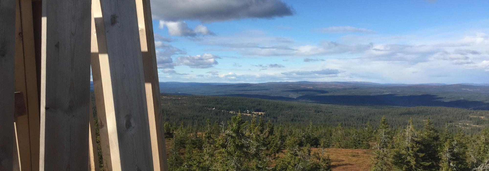 Barnas Turlag: Tur til Gjetholen (Gitvola)