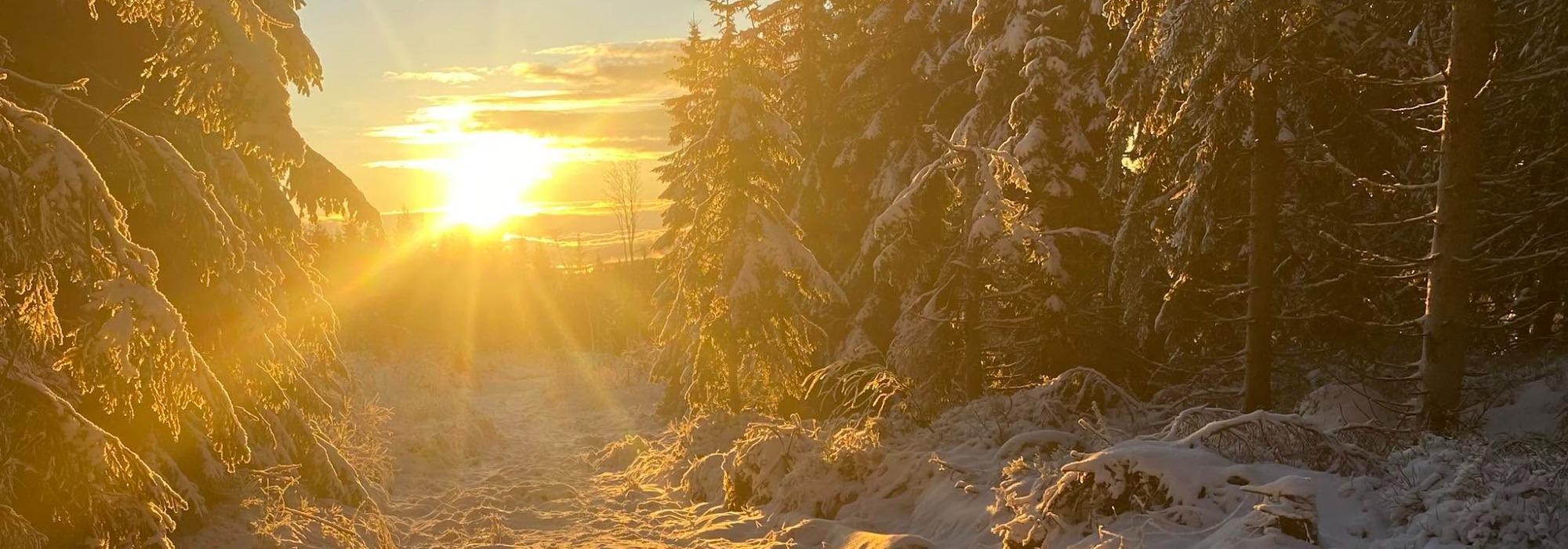 Barnas Turlag: Førjulstur fra Hersjøvangen til Lalumsvangen i Stange allmenning