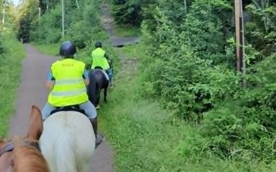 2 timers tur hest tirsdag 11. august