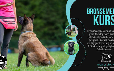 Bronsemerkekurs 26.08.2026