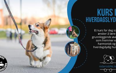 Hverdagslydighet 31.08.2026