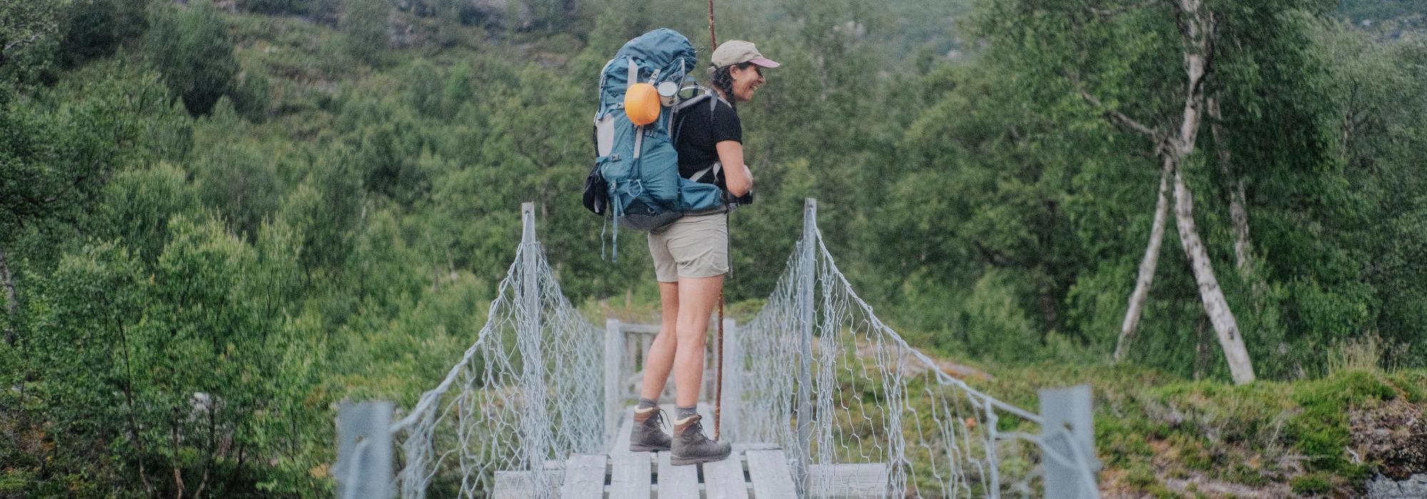 Fra snaufjell ned ville Aurlandsdalen (vs27)