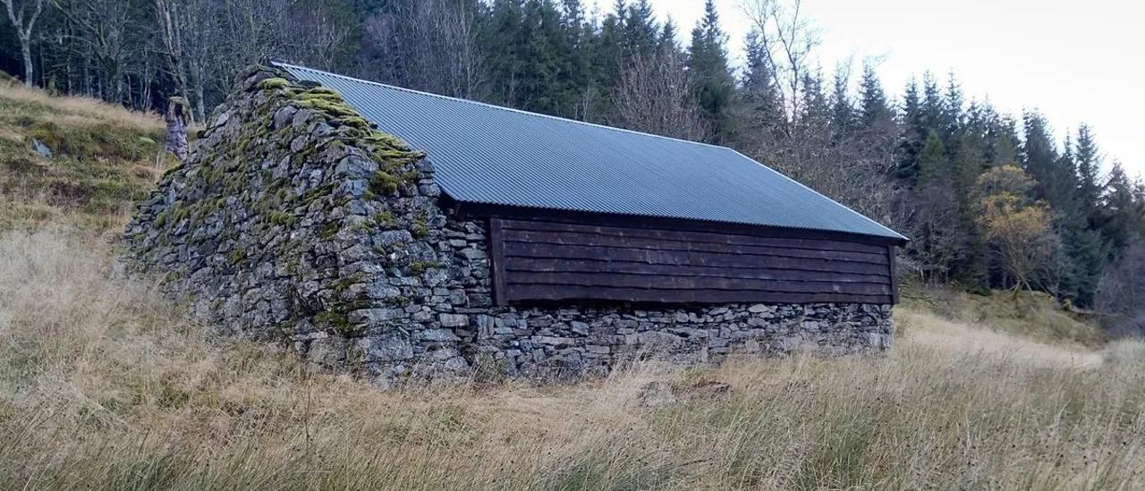 Rimmaskaret med DNT nærtur Bergen