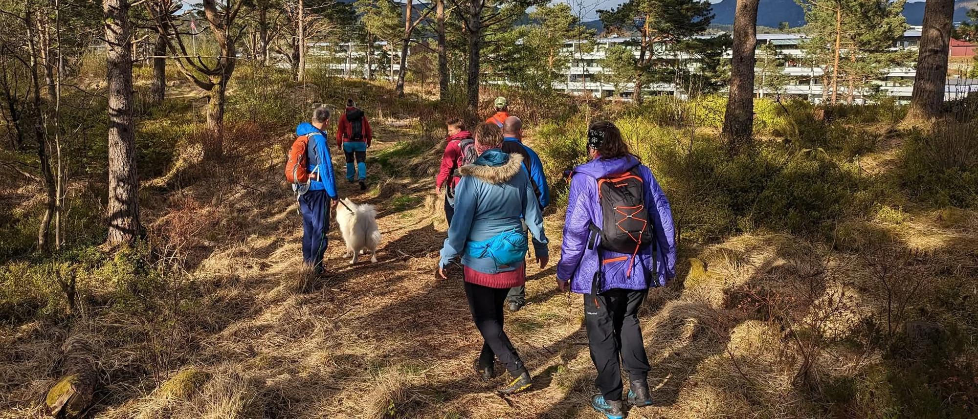 Straumsfjellet