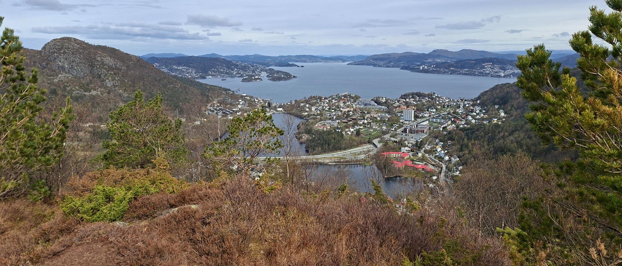 Lyngbønipa - Eikelifjellet