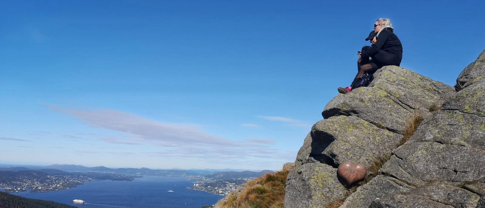 Løvstakken, fra vest. 