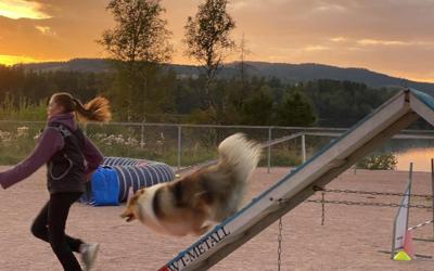 JUNIORKURS AGILITY HØSTEN 2026