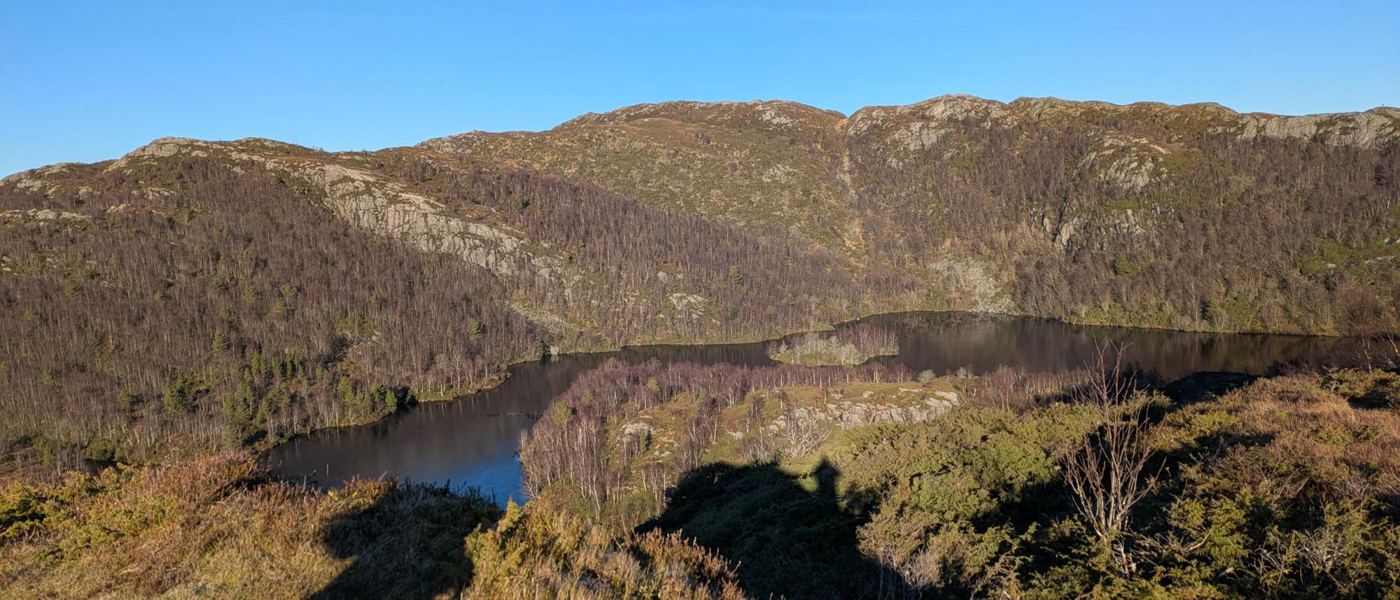 Ulskebjørnen med DNT nærtur Bergen