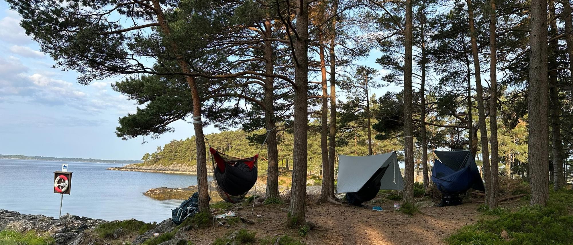 Crash Course in Outdoor Overnight Stays (Hike, Medium)