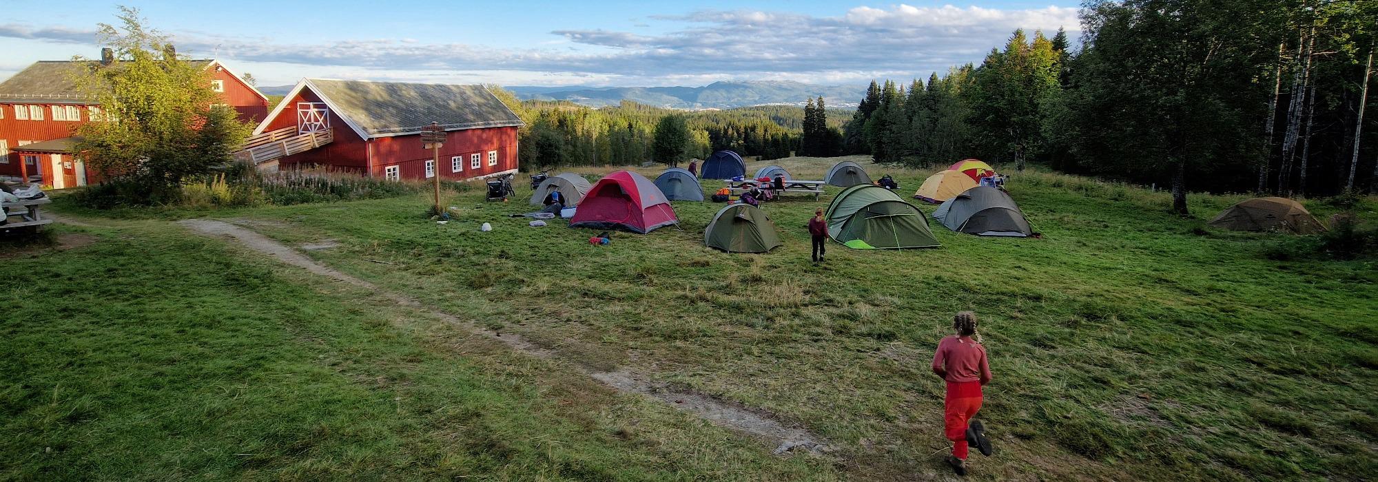 Natt i Naturen på Rønningen med Barnas Turlag Trondheim