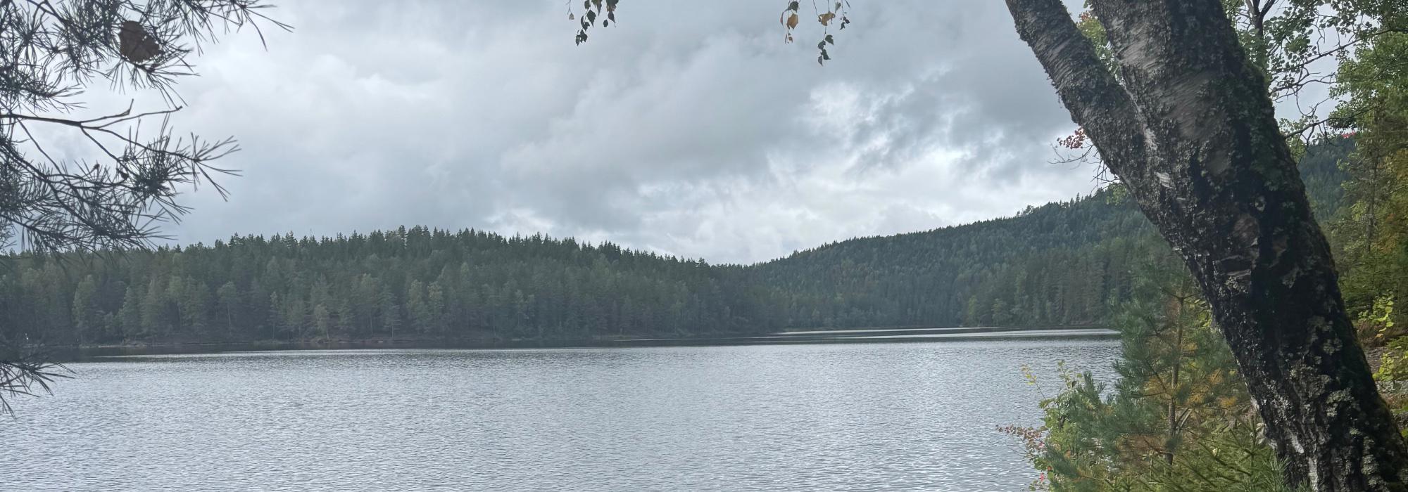 Nærturgruppen på Bogstad/Skøyen  går rundtur ved  Østernvann