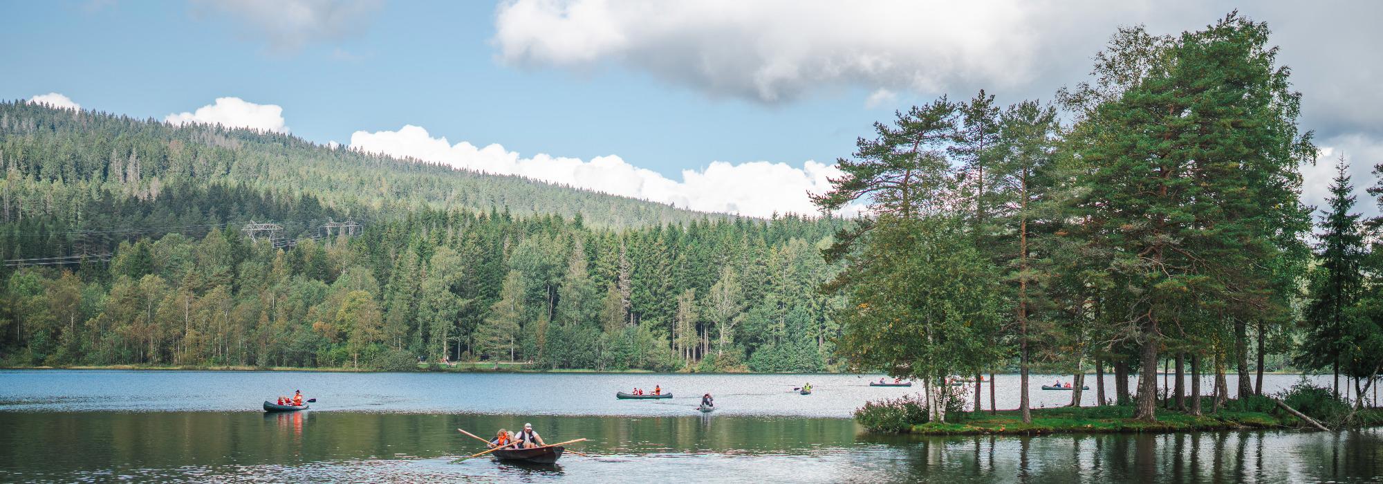 Tur for skeive og venner. Rundt Sognsvann