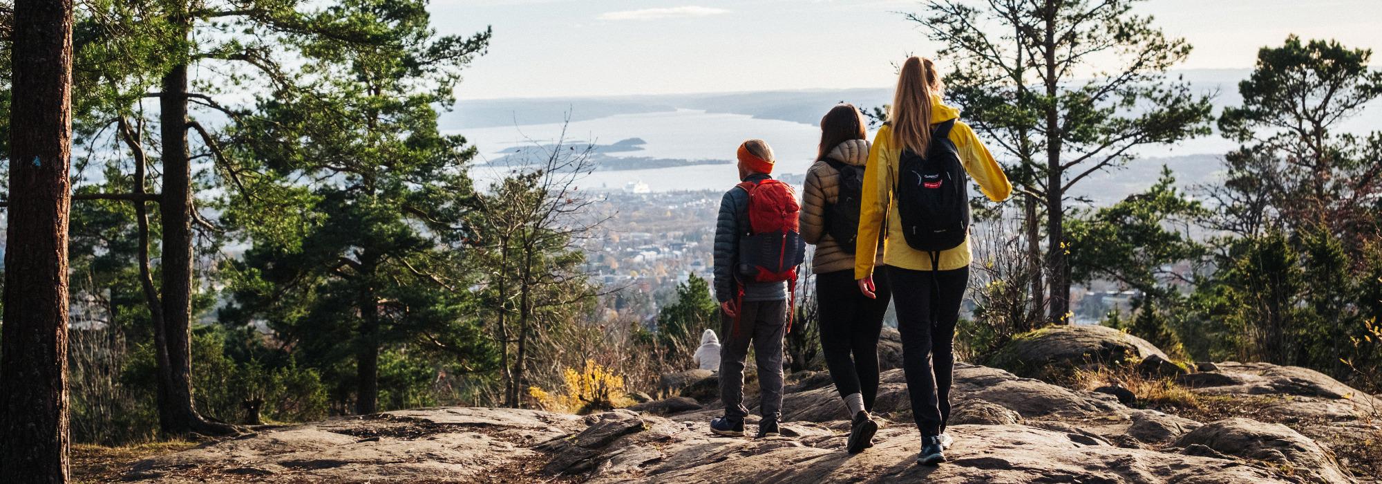 Tur for skeive og venner. Til Vettakollen