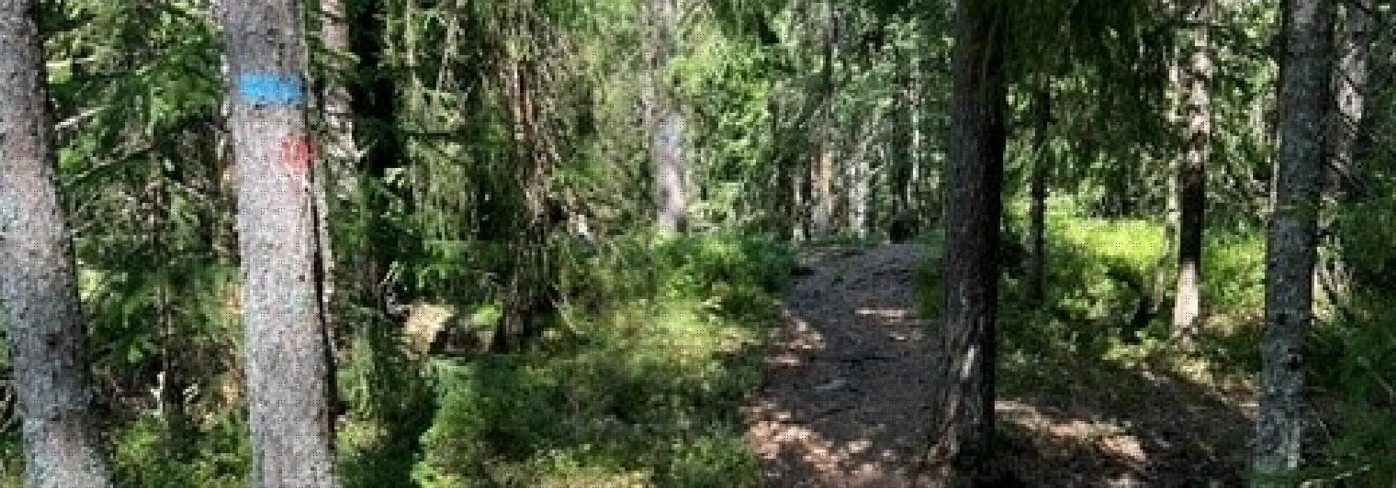 Rundtur Triaden - Lysås -Triaden