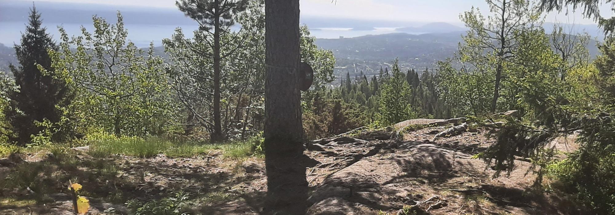 Asker til Topps (5) - Vardåsen og Bergsåsen