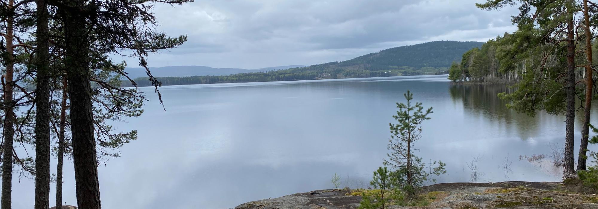Aktiv i 100, DNT-Odal: Bergsvangen-Bergsknappen