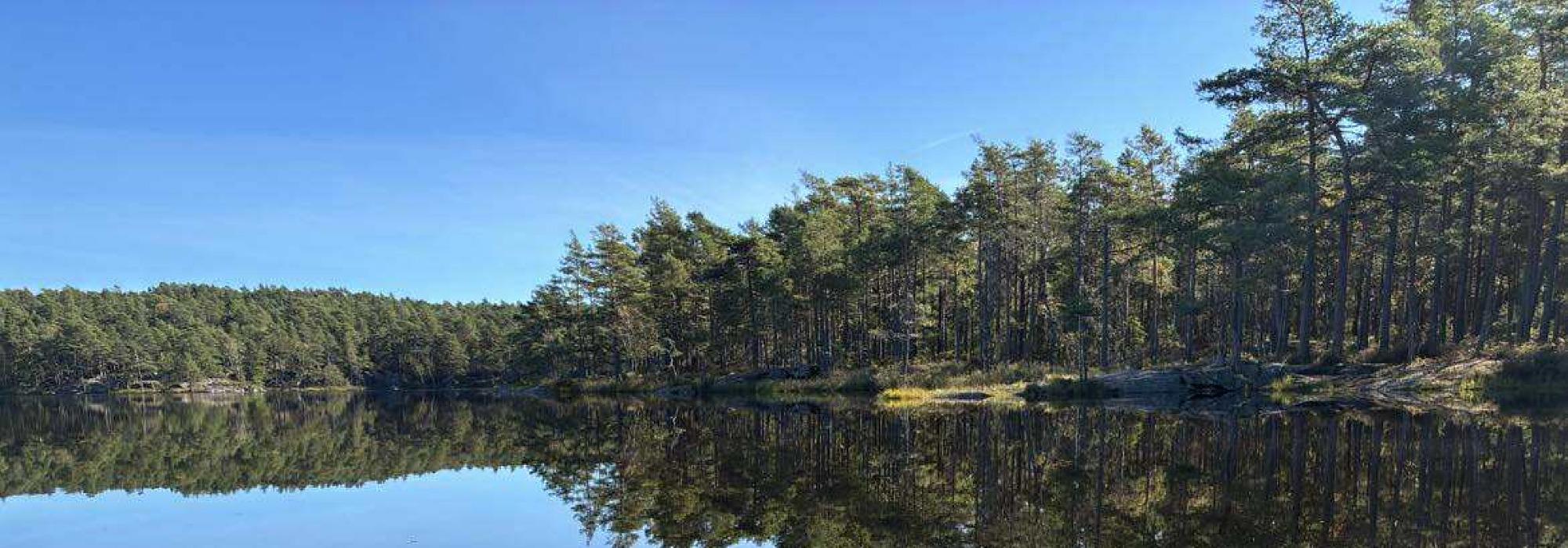 Krefter på tur til Torsnes, Fredrikstad