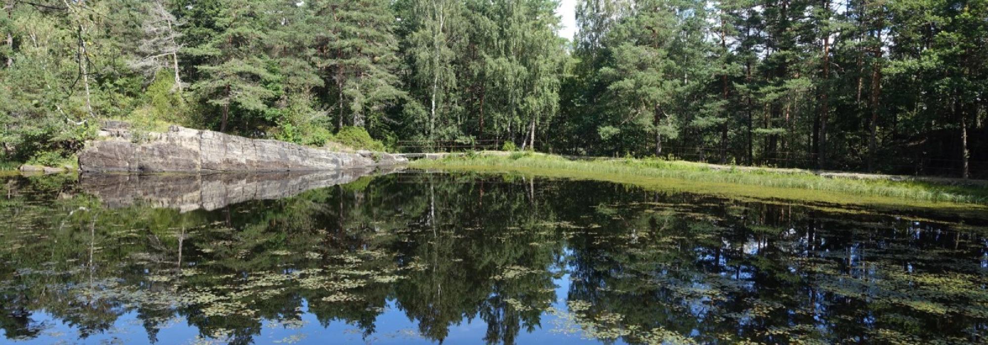 Minitopper`n  - Fellestur til Dammane