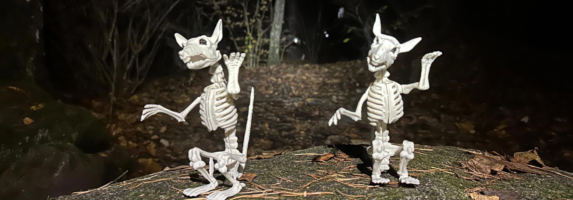 Halloweenfeiring i skogen på Høvikodden 2026 - OBS fredag