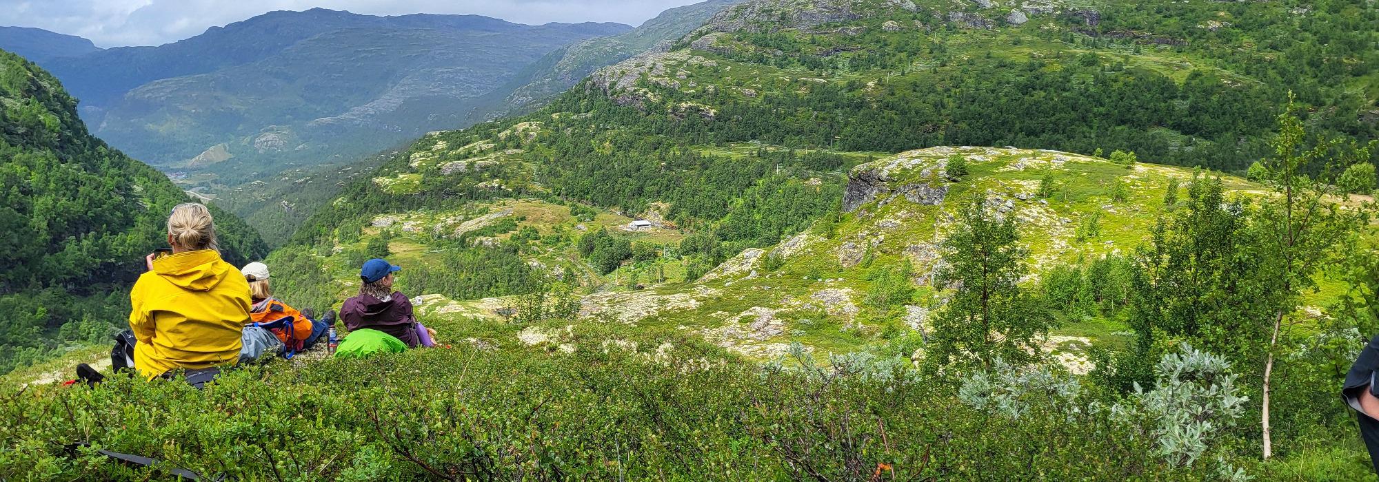 Fra snaufjell ned ville Aurlandsdalen (vs27)