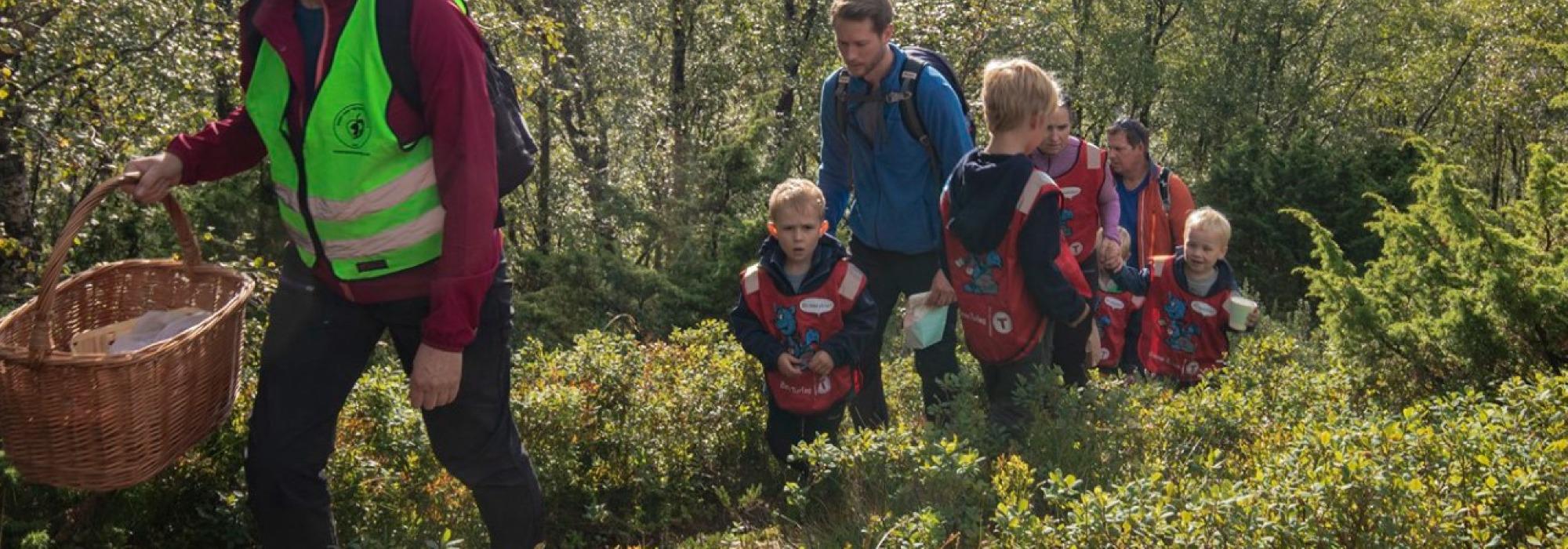 Sopptur på Stendafjellet
