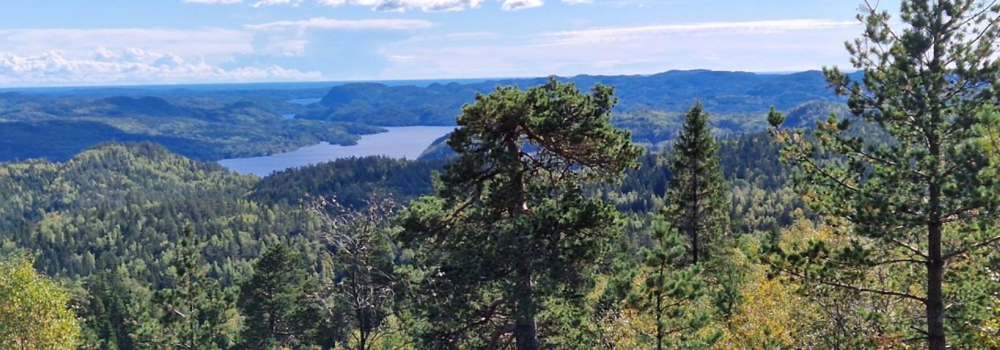 Tur til Nordkollen