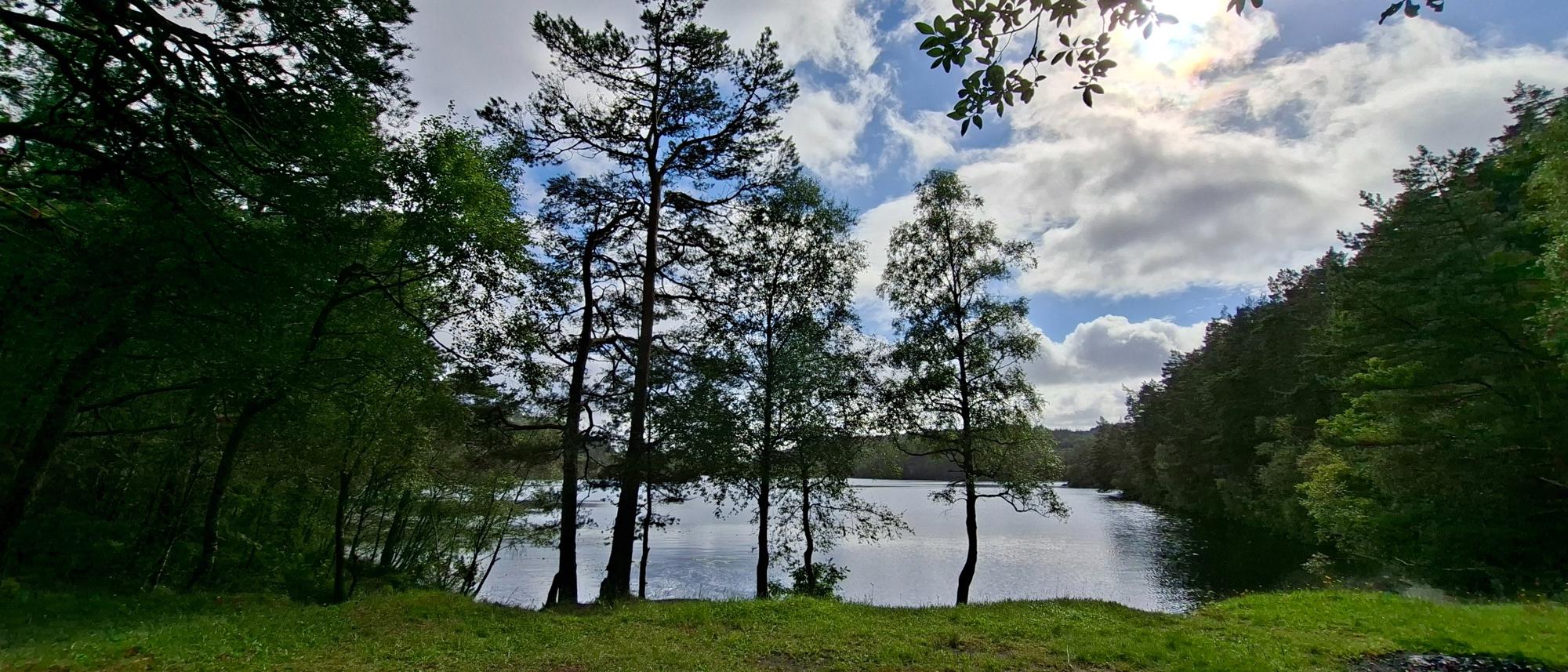 Bjørndalsvatnet med DNT nærtur Bergen