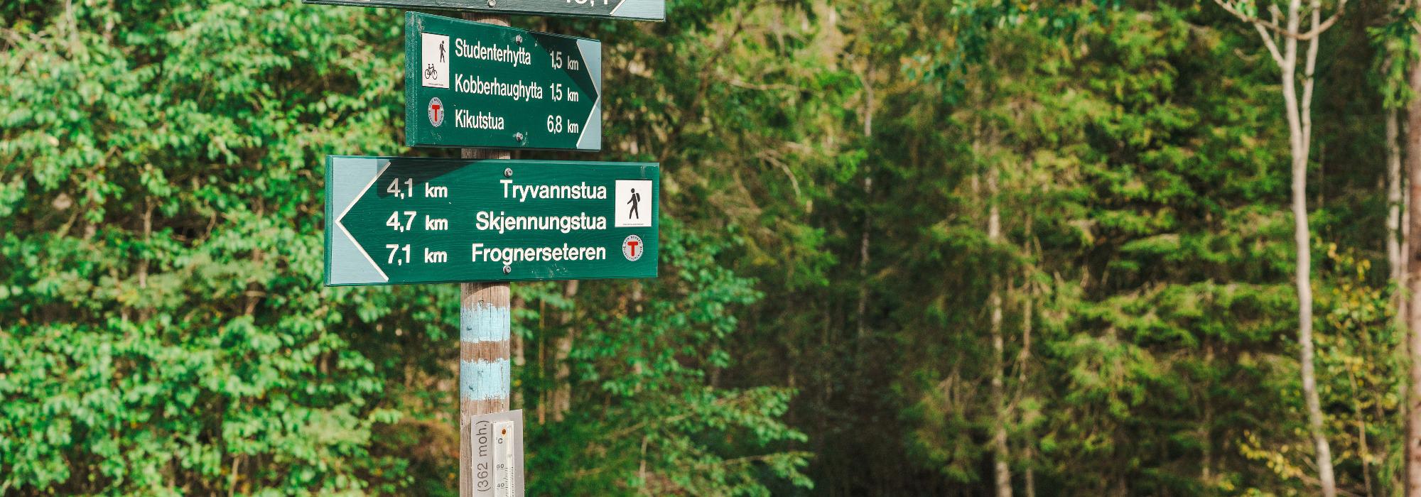 Hyttetur til studenthytta "Familiehytta" i Nordmarka (DNT ung Oslo, 20-32 år)
