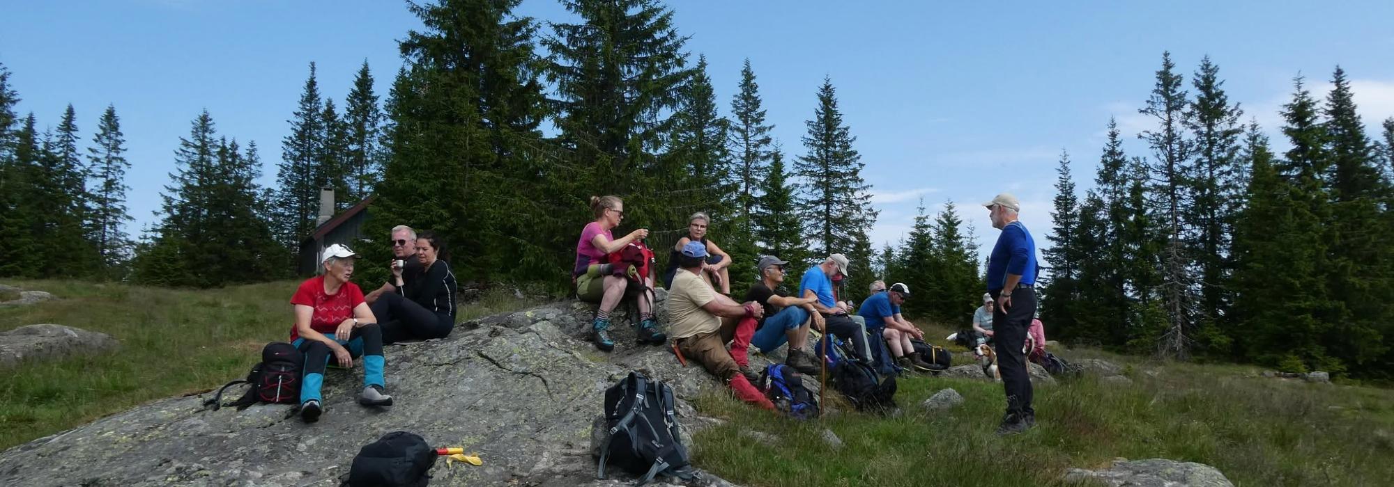 ÅSGRUPPE - MANDAGSTURER PÅ ØSTRE TOTEN: ROGNSTADKOLLEN