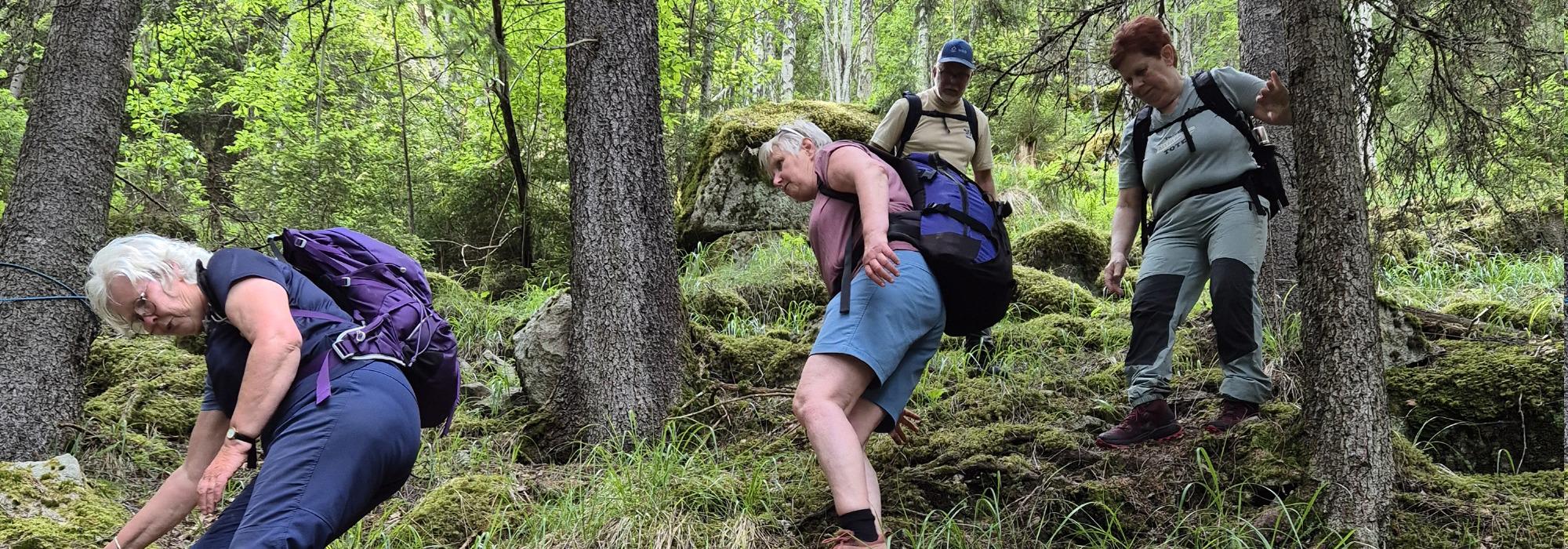 ÅSGRUPPE - MANDAGSTURER PÅ ØSTRE TOTEN: JONSRUD-FALGEN-FJØRKEN-JONSRUD