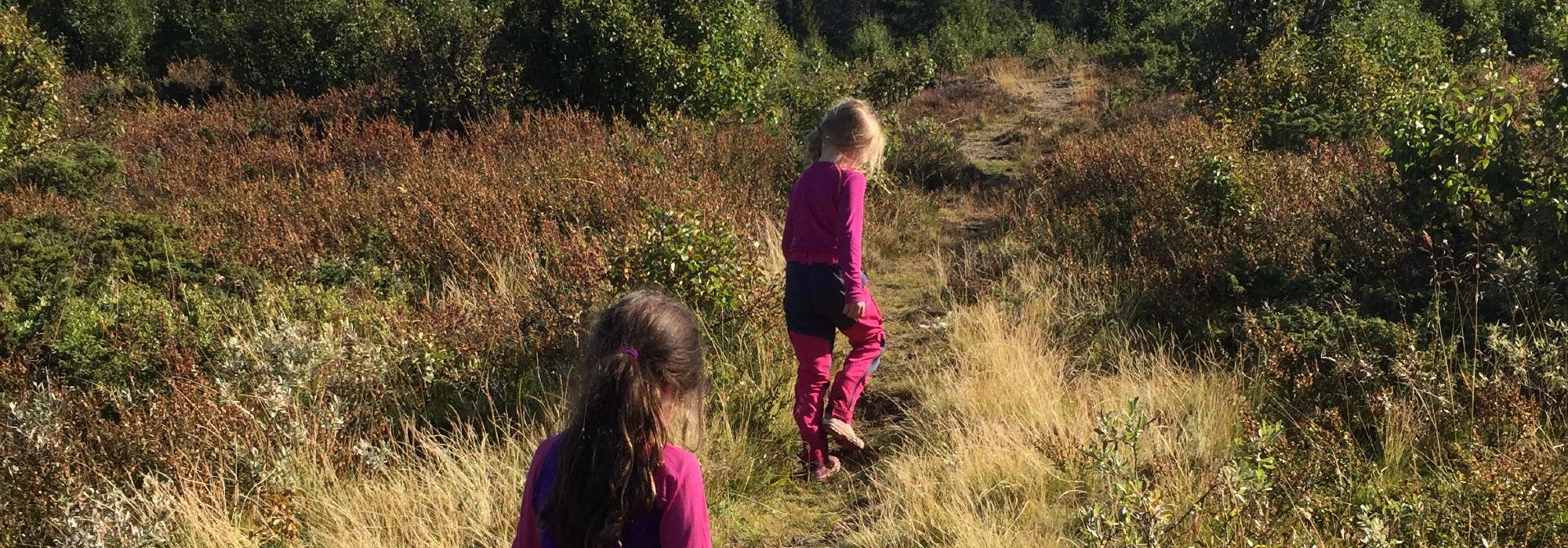 Tur til Kyrakampen og Knutsholoa med Barnas Turlag 