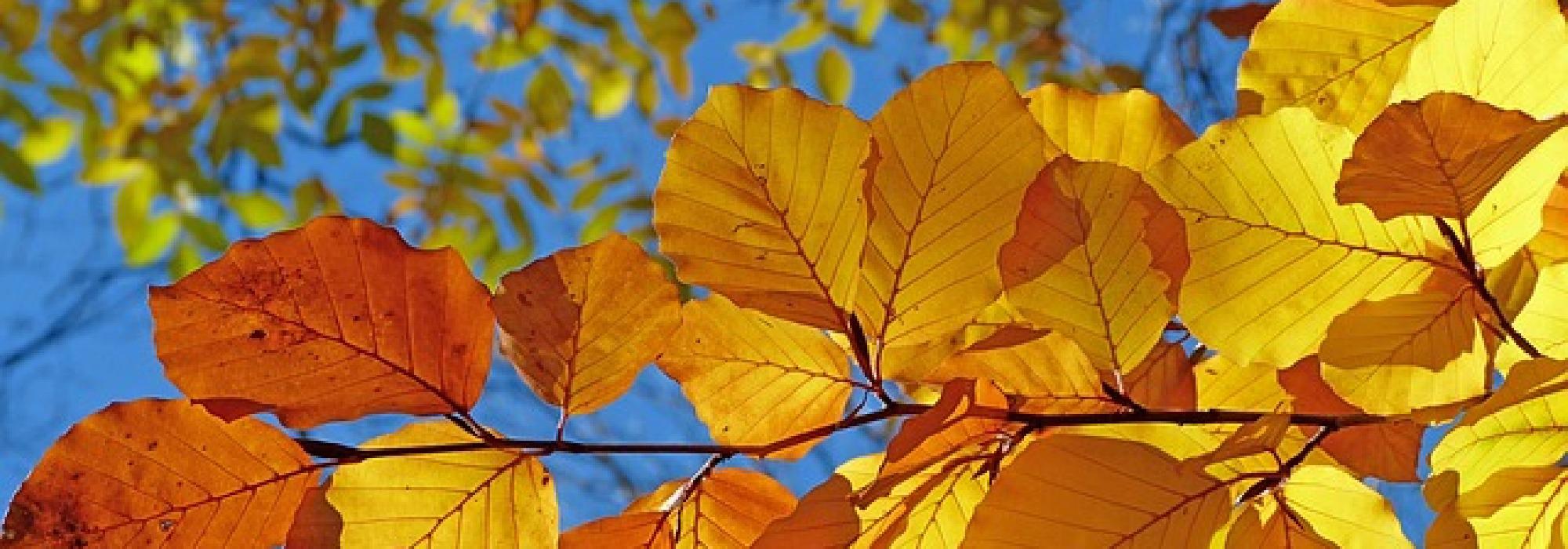 Turbingo med Turboklubben Landås