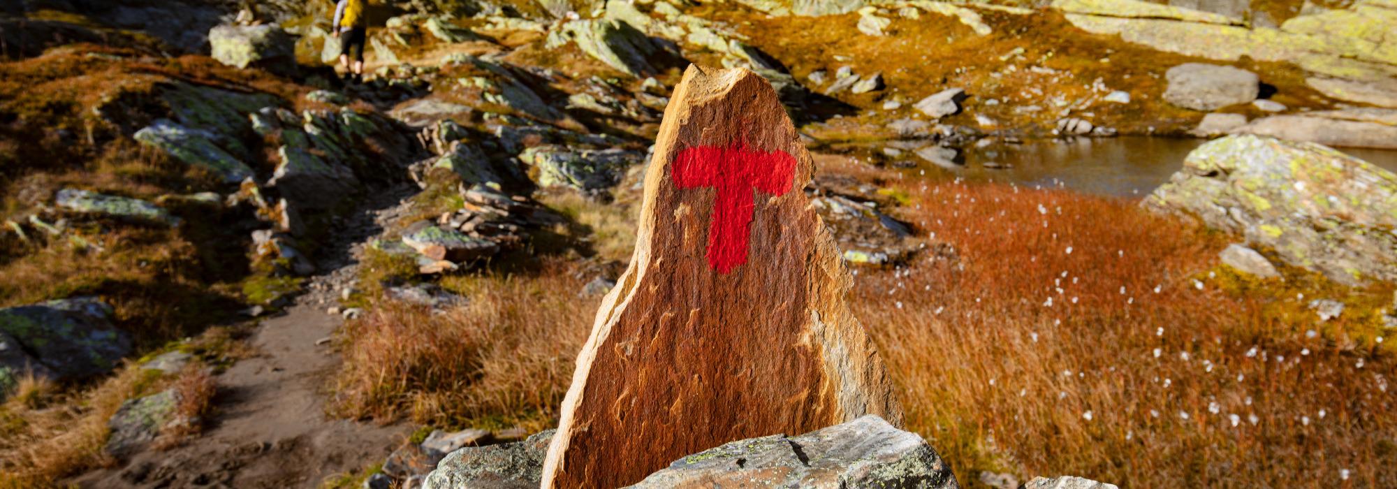 Frivillige i Barnas Turlag