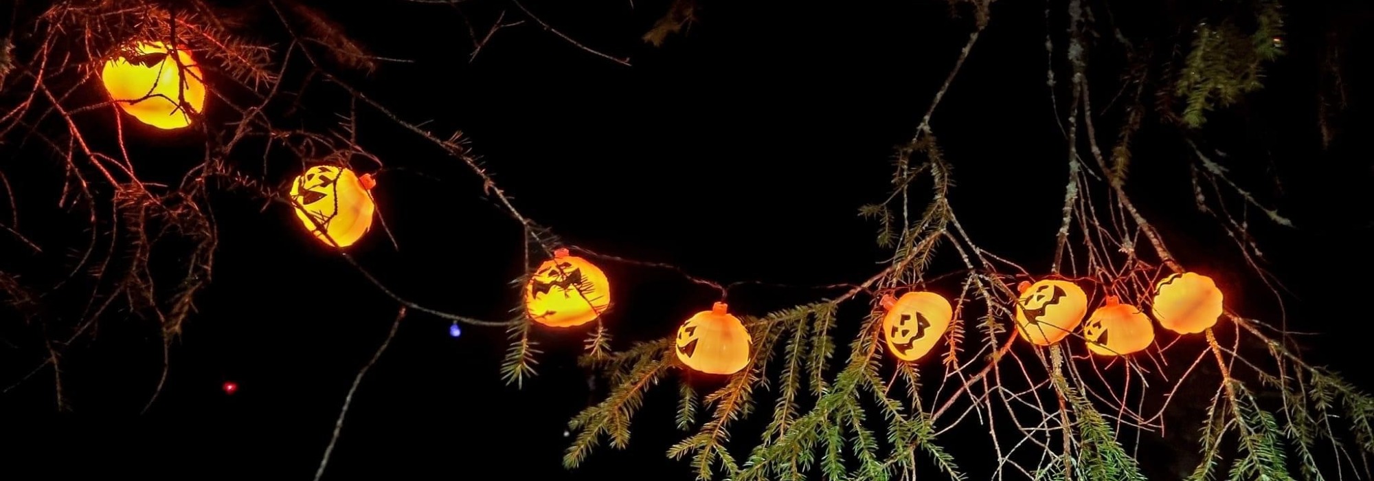 Barnas Turlag Tromsø - Halloweenfeiring i Folkeparken!   