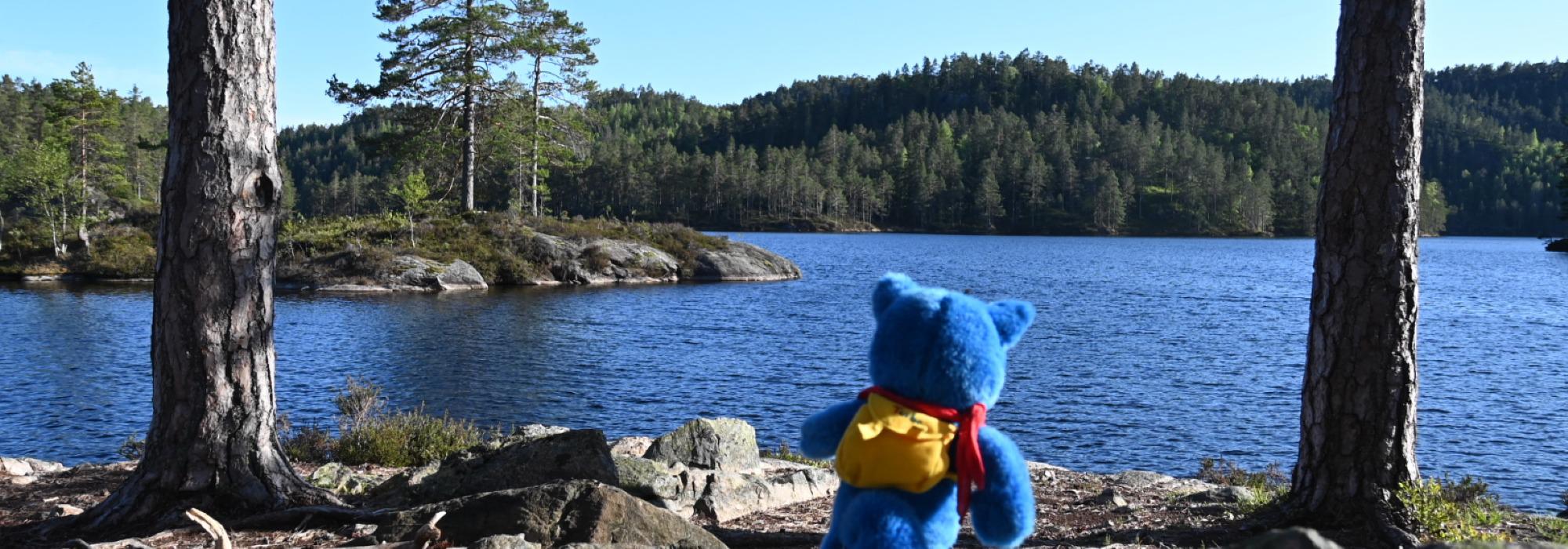 "Mørketur og bålkos"